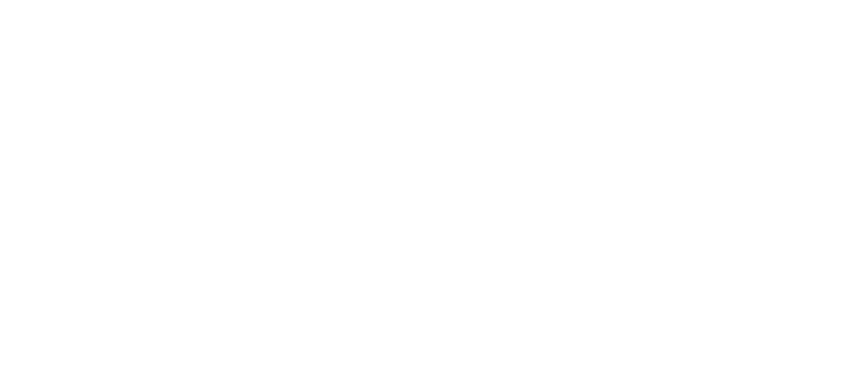 Precisão, técnica, sensibilidade e um olhar apurado!